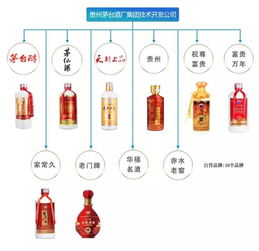 茅臺酒品鑒與營銷策略 技術(shù)開發(fā)賦能品牌新生態(tài)